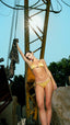 ARUBA GOLD TIGER'S EYE BIKINI TOP