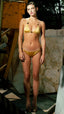 ARUBA GOLD TIGER'S EYE BIKINI TOP